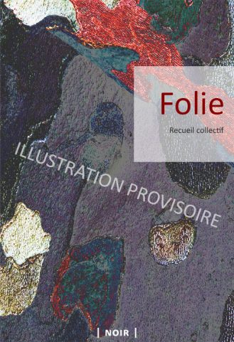 Folie_IllustrationRecueilCo Folie_IllustrationRecueilCo